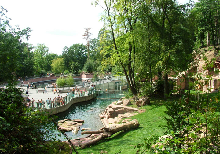 ������������ �������