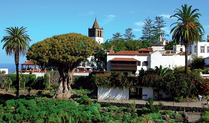 ����-��-���-�����