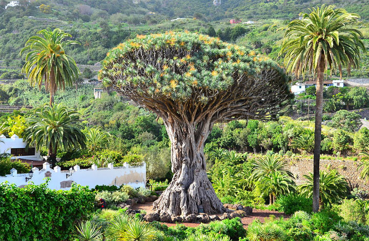 ��������� ������