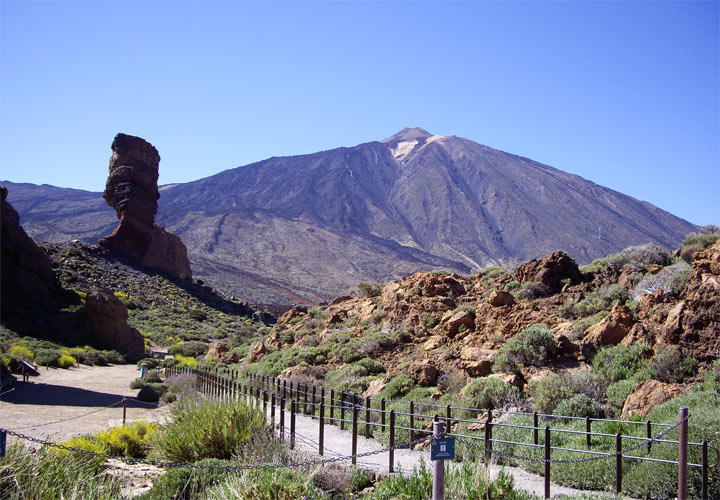 ������������ ���� �����