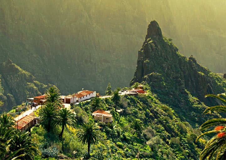 ������ �����