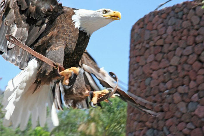 ���� �����