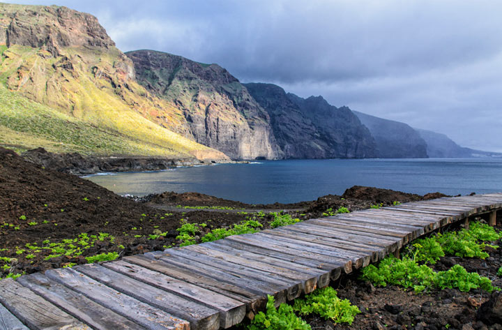 ����� ��� ��������