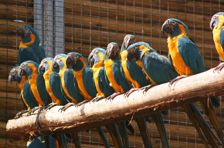 ����-����